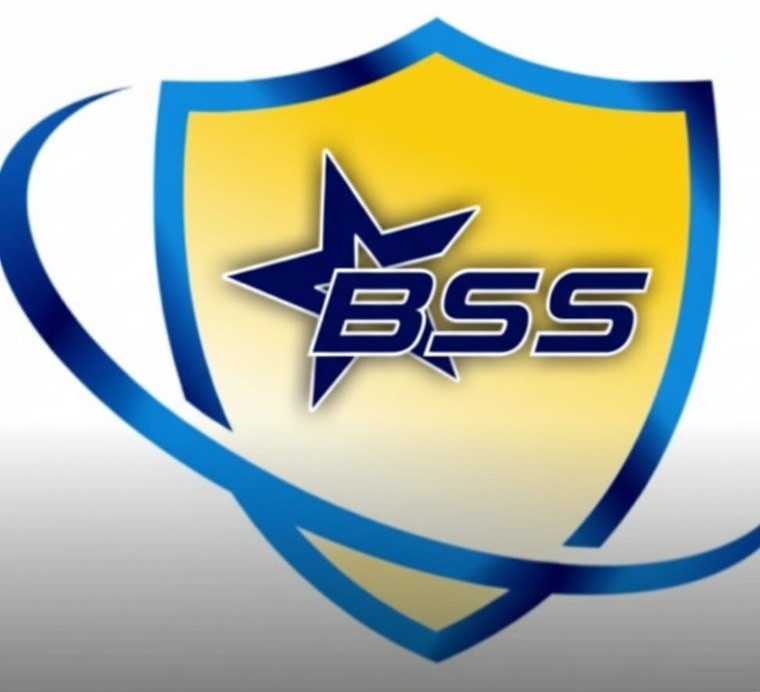 BSS Protection logo